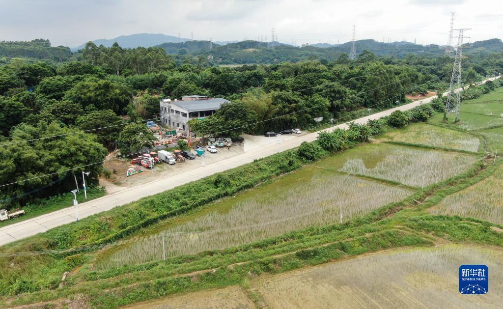 打鱼手游送分的